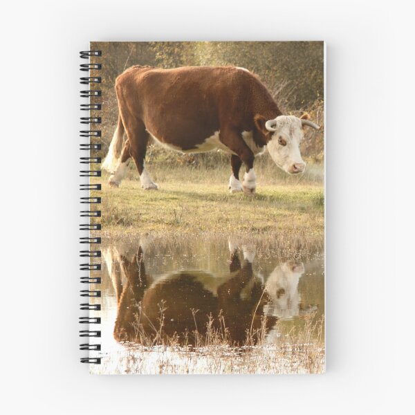 Item preview, Cattle on the Common - Greenham designed and sold by Samantha Higgs.