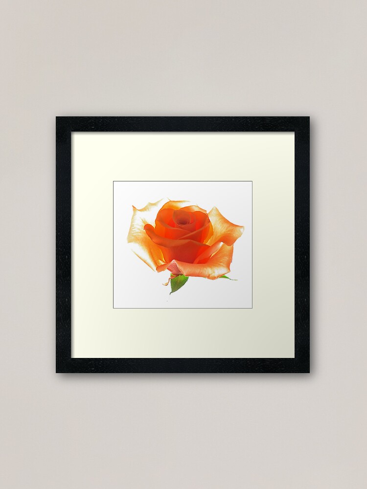 Alternate view of Orange Julius Framed Art Print