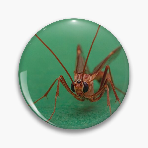 Item preview, Ophion obscuratus designed and sold by Dan Newton.