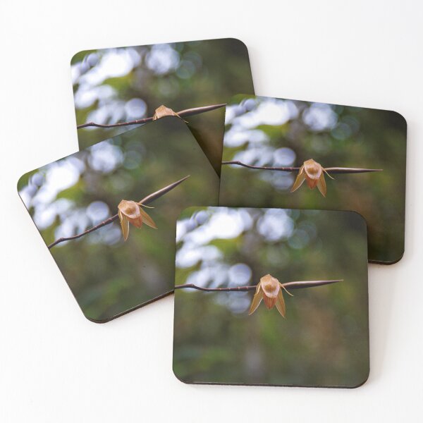 Item preview, Wild Orchid #2 in the Borneo Rainforest designed and sold by Photos by Phil.