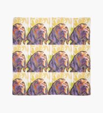 Vizsla Dog Bright colorful pop dog art Scarf