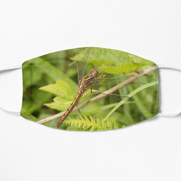 Keeled Skimmer Dragonfly Flat Mask