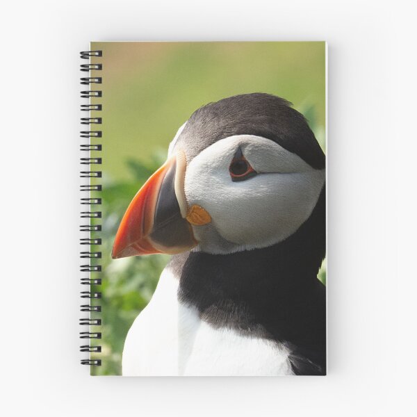 Item preview, Puffin! designed and sold by Dan Newton.