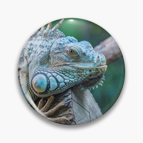Item preview, Iguana designed and sold by Delphimages Art.