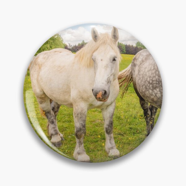 Item preview, Percherons horses designed and sold by Delphimages Art.