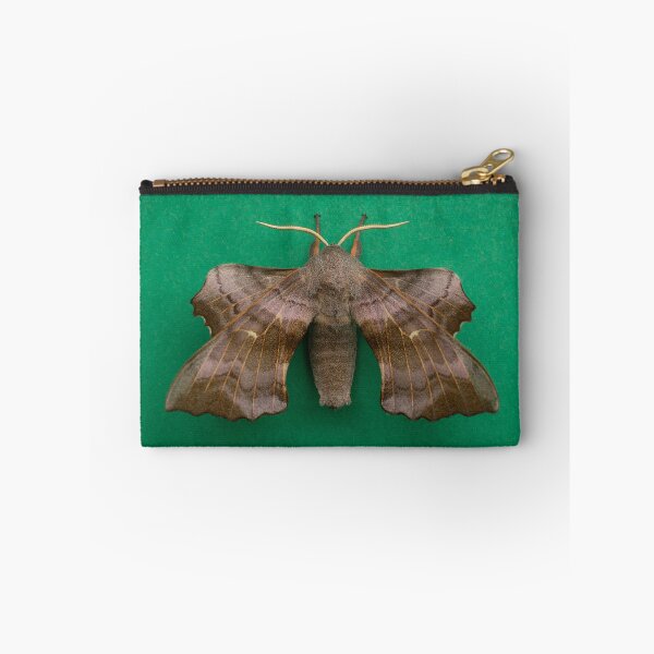 Item preview, Poplar Hawkmoth designed and sold by Dan Newton.