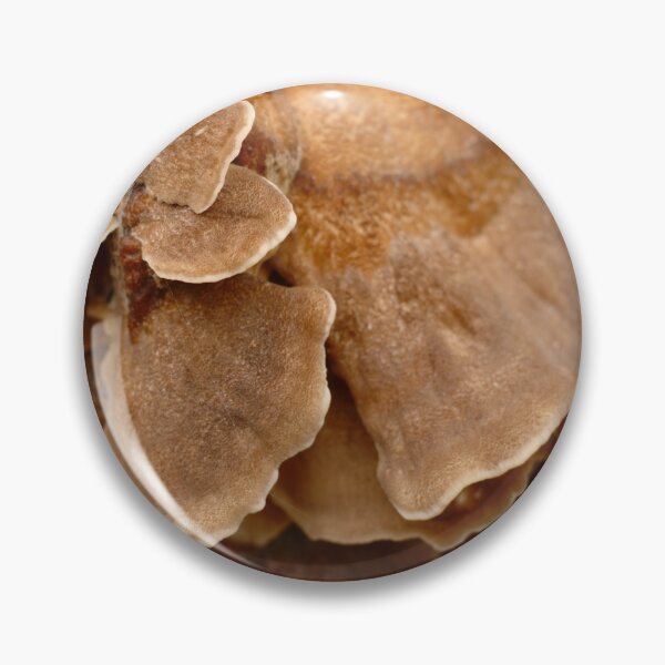 Item preview, Fungi Patterns designed and sold by Samantha Higgs.