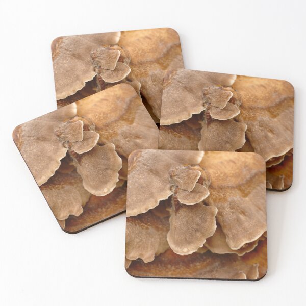 Item preview, Fungi Patterns designed and sold by Samantha Higgs.