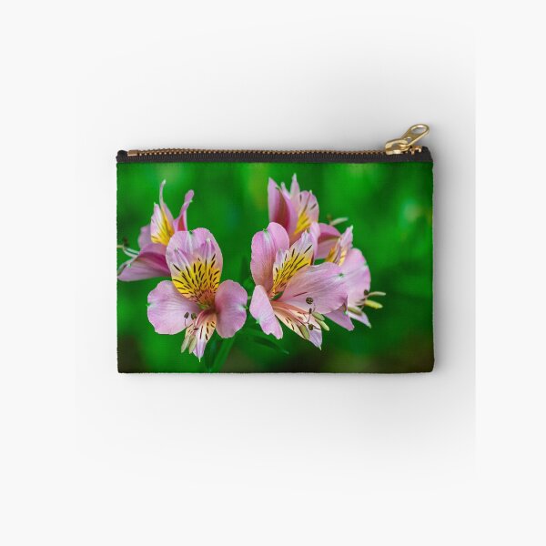 Item preview, Peruvian lily, (altroemeria aurantiaca ligtu) designed and sold by Martin Leber.