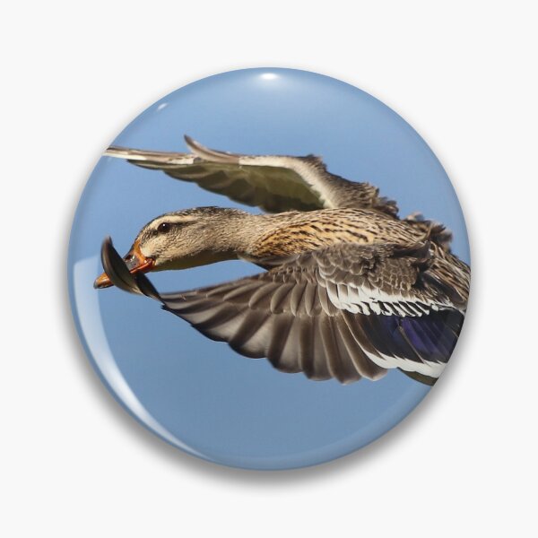 Item preview, Duck! designed and sold by GreyFeatherPhot.