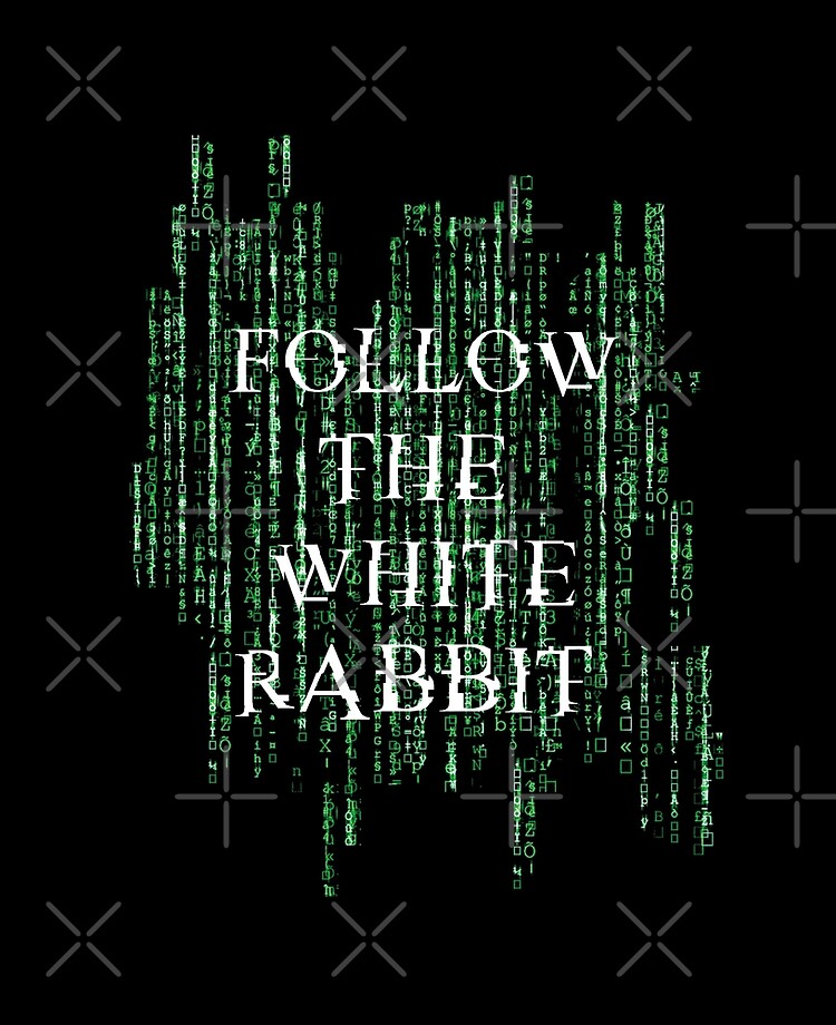 Follow The White Rabbit Matrix Ipad Case Skin By Cauto Dipelo Redbubble
