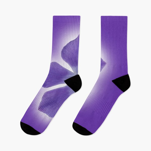 Item preview, Isolated Periwinkle blossom on a purple packground designed and sold by Phillip Thornton.