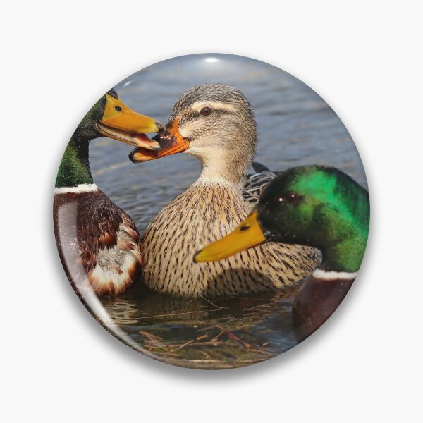 Item preview, Three's company designed and sold by GreyFeatherPhot.
