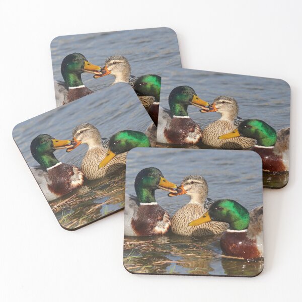 Item preview, Three's company designed and sold by GreyFeatherPhot.