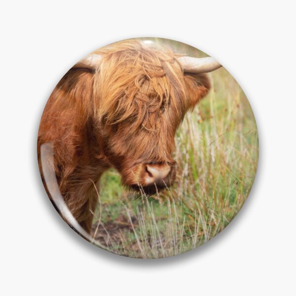 Item preview, Portrait of a Highland cow designed and sold by Delphimages Art.