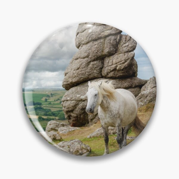Artikelvorschau, Wildes Dartmoor-Pony entworfen und verkauft von Delphimages Art.