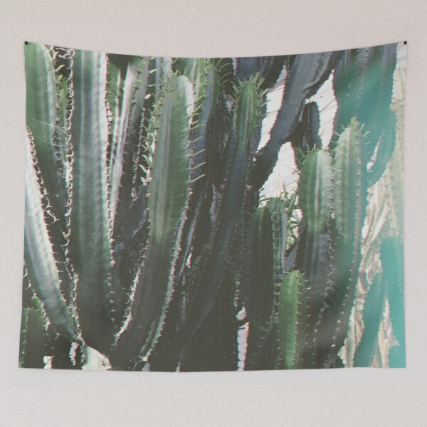Item preview, Cacti designed and sold by Cassia Beck.