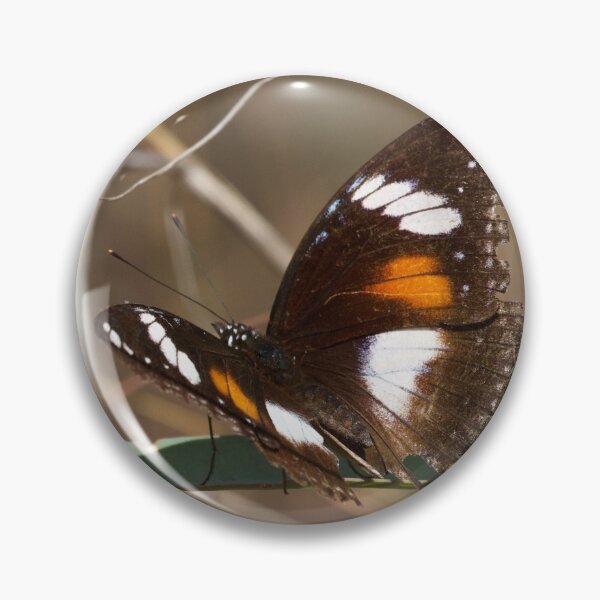 Item preview, Varied eggfly butterfly  designed and sold by MargsNaturePix.