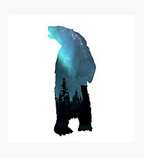 Polar Bear Photographic Print