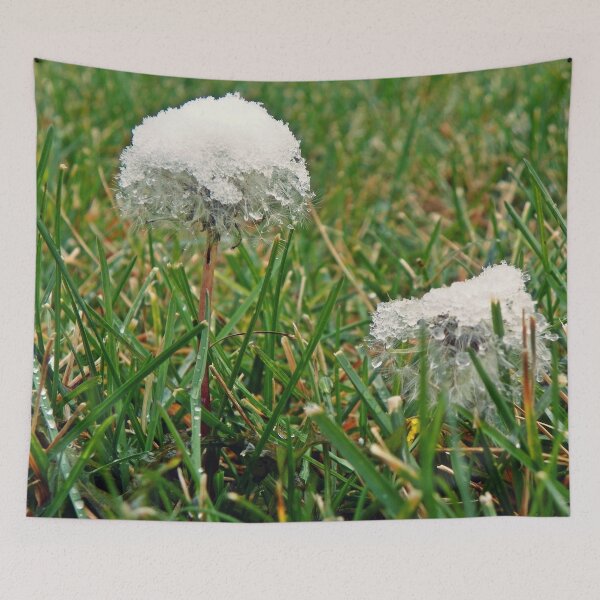 Item preview, Snow Dandelions designed and sold by VikingVisual.