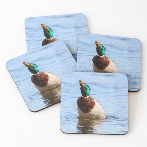 Item preview, Mallard displaying designed and sold by GreyFeatherPhot.