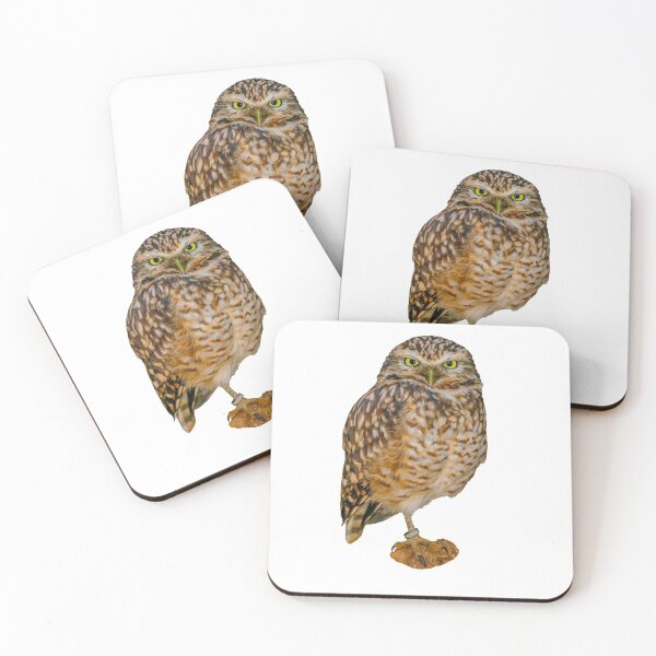 Item preview,  American Burrowing Owl designed and sold by Dalyndigital Photography.