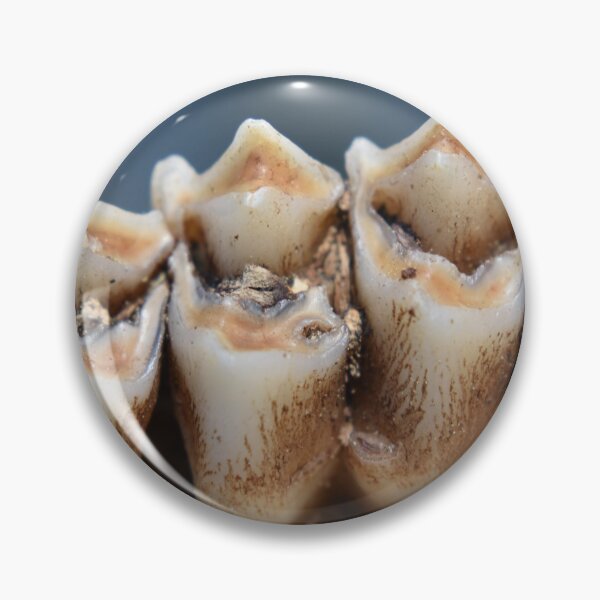 Item preview, Young Buck Teeth designed and sold by Tonia Delozier's Photography .