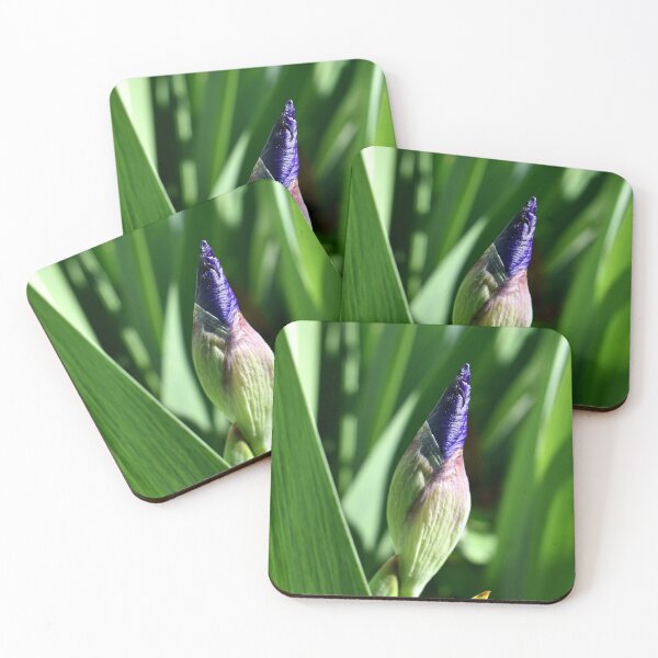 Item preview, Emerging Iris designed and sold by chrispricephoto.