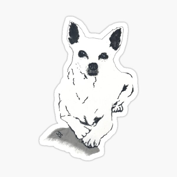 chihuahua Sticker