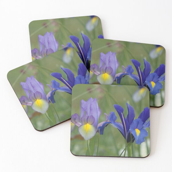 Item preview, Irises designed and sold by Sally J Hunter.