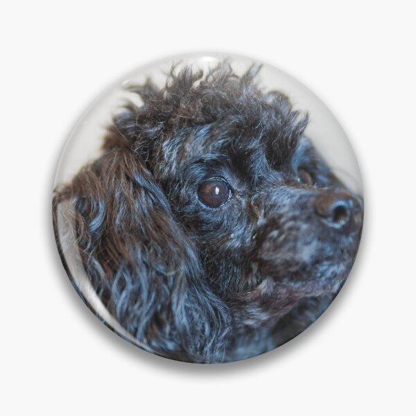 Item preview, Classic poodle designed and sold by KensLensDesigns.