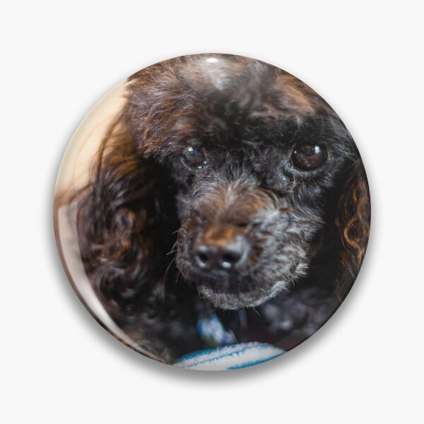 Item preview, Fluffy Pup designed and sold by KensLensDesigns.