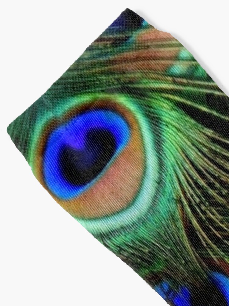 Colorful Bird Feathers- Spandex Global