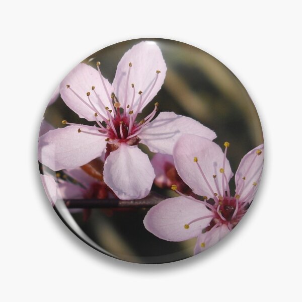 Item preview, Cherry Blossom designed and sold by Sally J Hunter.