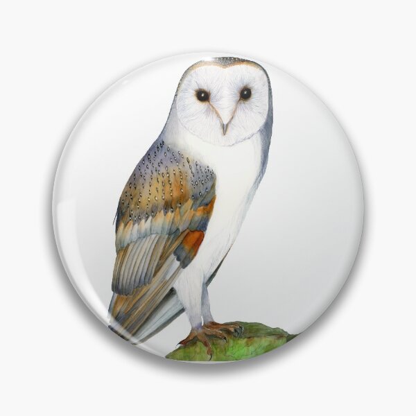 Item preview, Barn Owl Bird Watercolor Artwork Painting Bird Hand-Painted Artwork designed and sold by Alison Langridge.