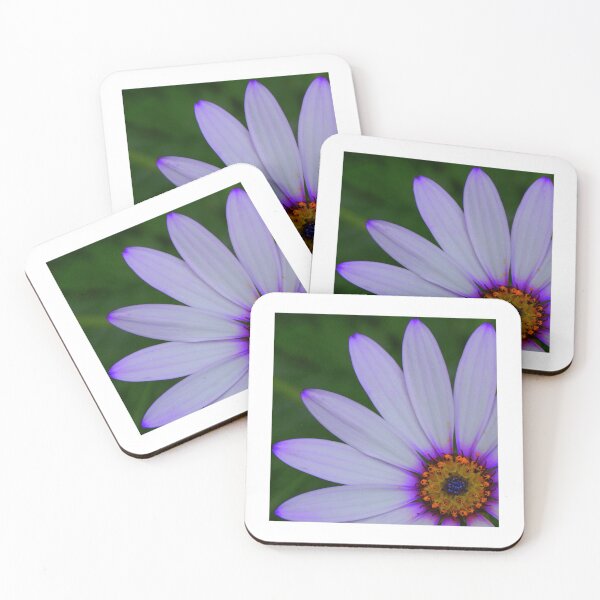 Item preview, Osteospermum designed and sold by Sally J Hunter.