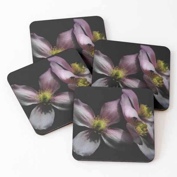 Item preview, Clematis designed and sold by Samantha Higgs.