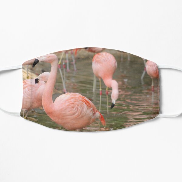 Flamingo Picture Face Masks Redbubble - hall of flamingo memes roblox