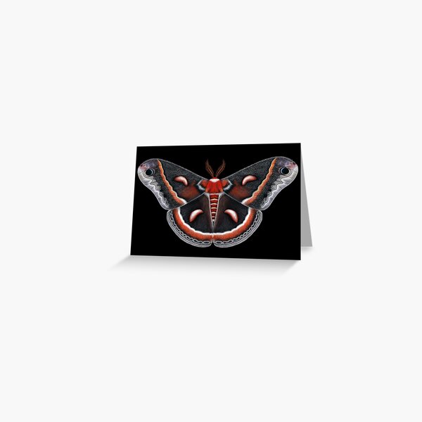 Item preview, Cecropia Moth Painting designed and sold by Mary "Moth Monarch" Capaldi.