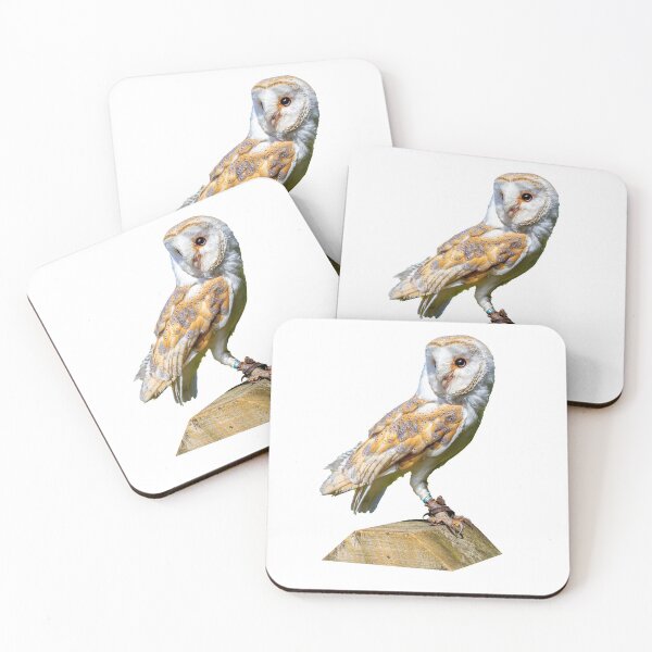 Item preview, Barn Owl on gate post designed and sold by Dalyndigital Photography.
