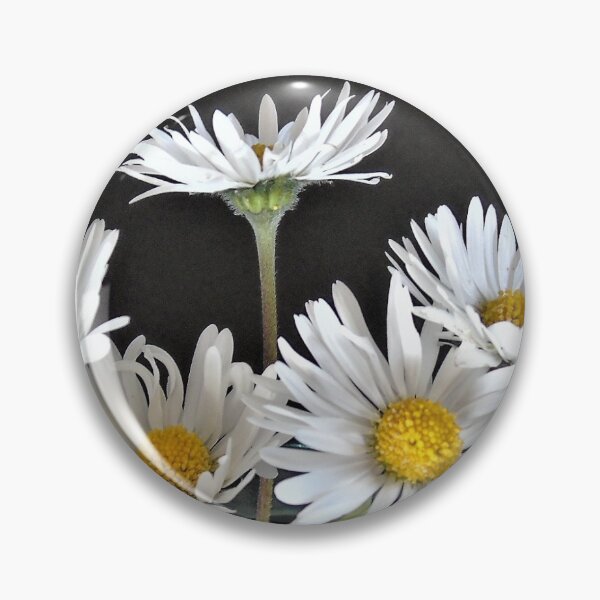 Item preview, Daisies on a black background ... designed and sold by ART22.