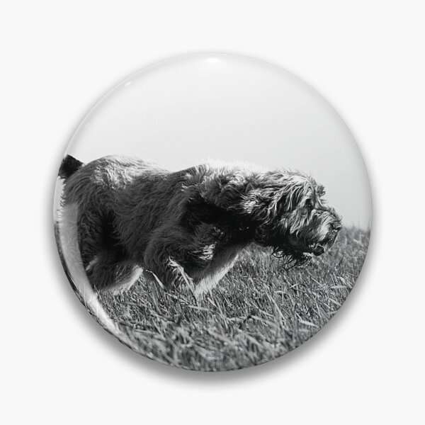 Item preview, Spinone on the scent of a thousands stories  designed and sold by FOLK ART FUSION by heidiannemorris.