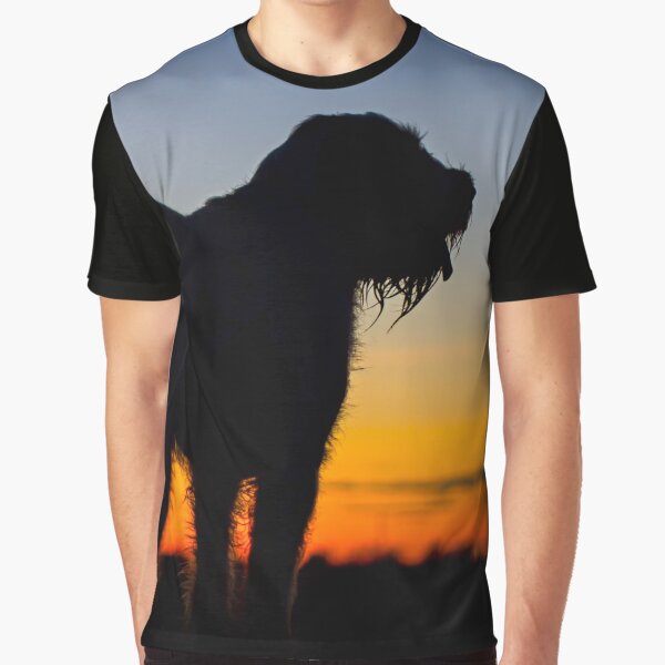 Artikel-Vorschau von Spinone-Sonnenuntergang-Silhouette, designt und verkauft von FOLK ART FUSION by heidiannemorris.