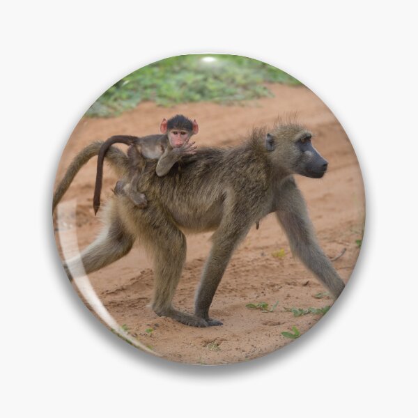 Item preview, Chacma Baboon and her Infant (Papio ursinus) designed and sold by Yair Karelic.