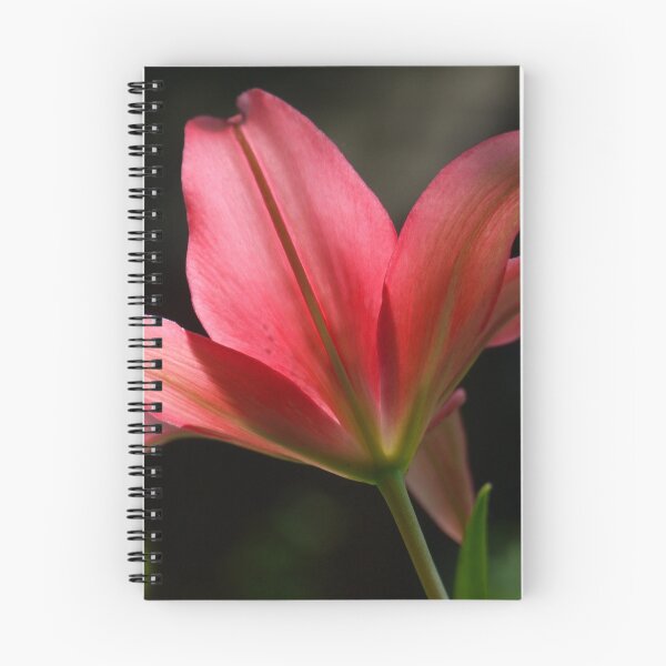 Item preview, Backlit designed and sold by kkmarais.