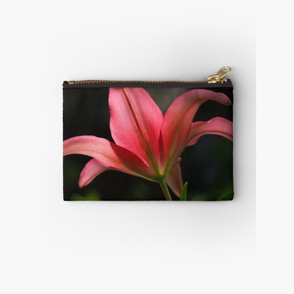 Item preview, Backlit designed and sold by kkmarais.