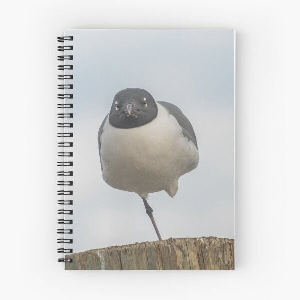 Item preview, Handicap Gull designed and sold by KensLensDesigns.