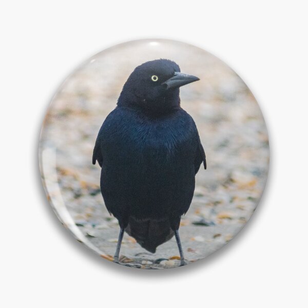 Item preview, Gregarious Passerine 2 designed and sold by KensLensDesigns.