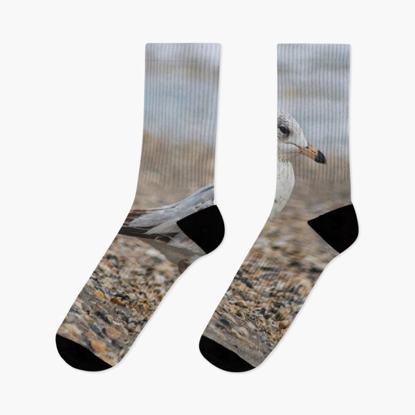 Item preview, Beach Bum 2 designed and sold by KensLensDesigns.