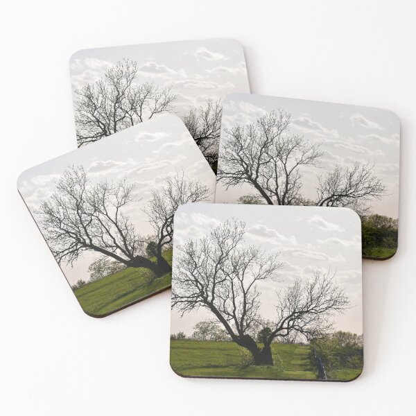 Item preview, Lone Tree in a Farm Field designed and sold by SEEphotos7171.